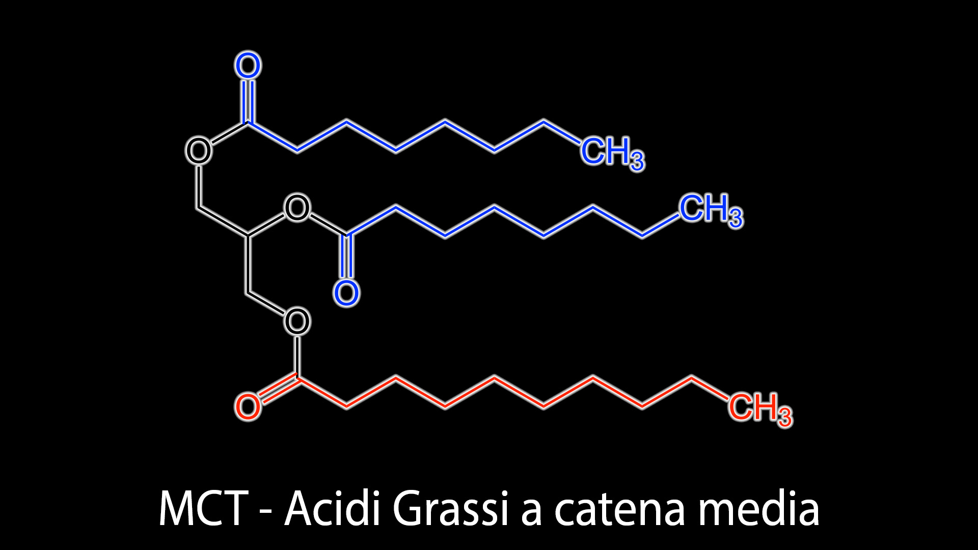 MCT Acidi grassi a catena media